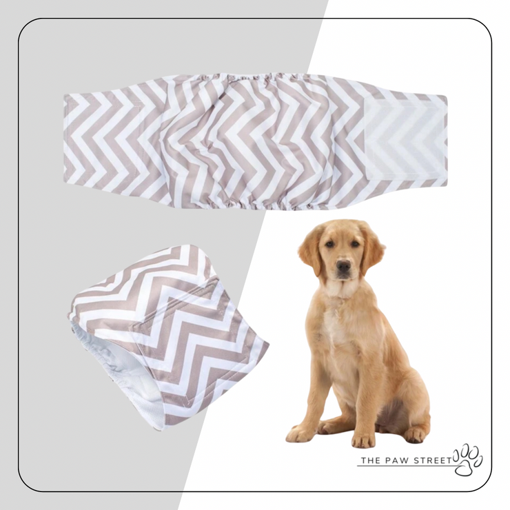 Male Reusable Diapers