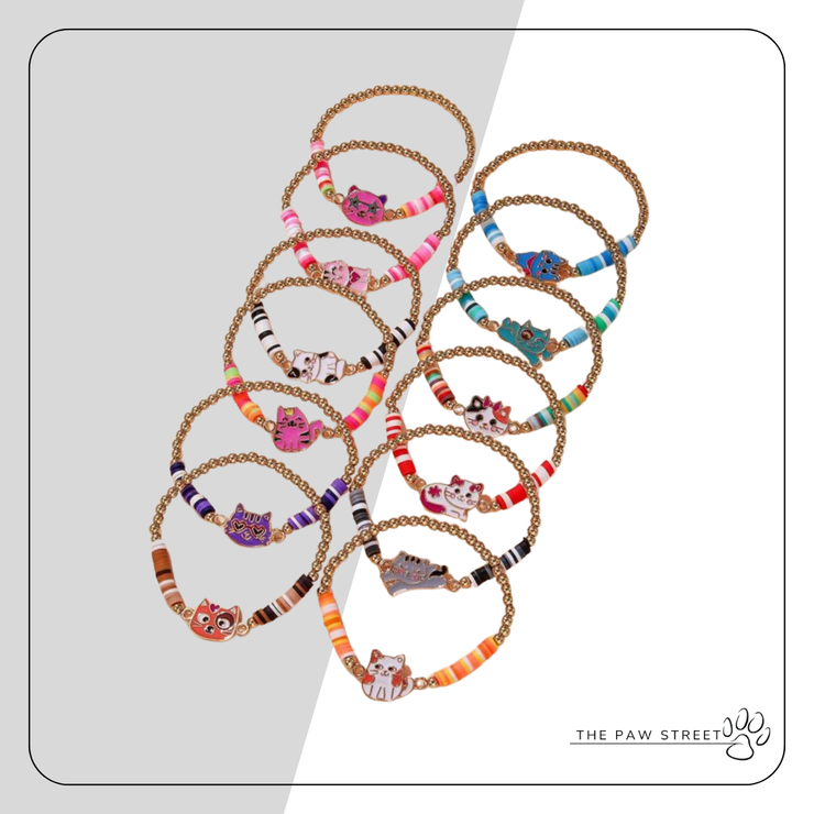 Colour Beaded Bracelet