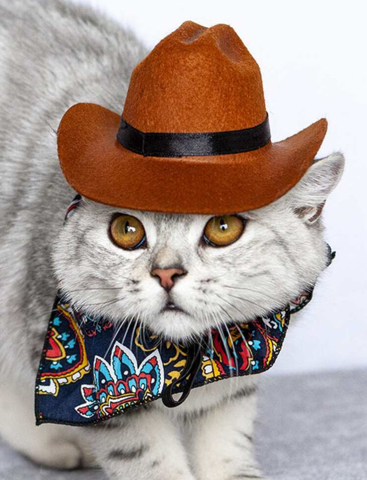 Pet Hat - Brown