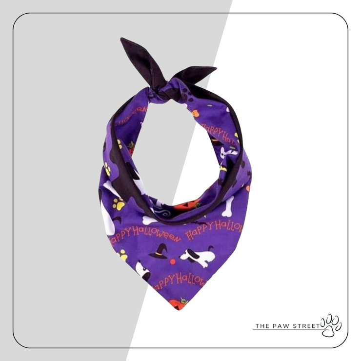 Halloween Bandana