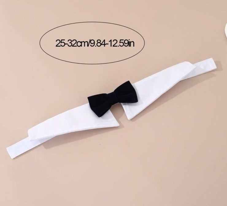Gentleman Bow Tie Collar
