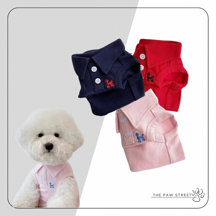 Polo T-Shirts