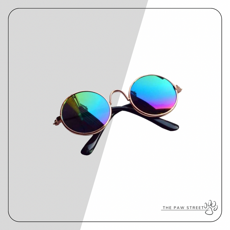 Pet Shades