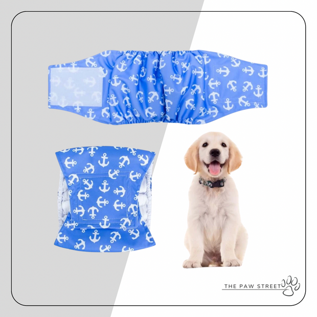 Male Reusable Diapers - Blue